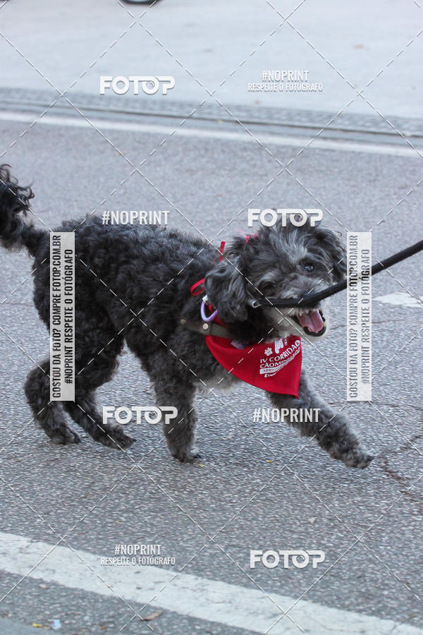 Buy your photos of the event4� Corrida e C�ominhada Abrigo Jo�o Rosa - Etapa Feliz NatAU on Fotop