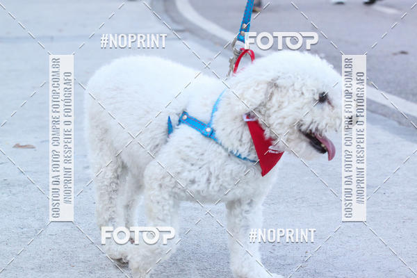 Buy your photos of the event4� Corrida e C�ominhada Abrigo Jo�o Rosa - Etapa Feliz NatAU on Fotop