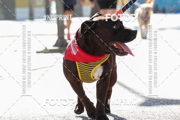 Buy your photos of the event4� Corrida e C�ominhada Abrigo Jo�o Rosa - Etapa Feliz NatAU on Fotop