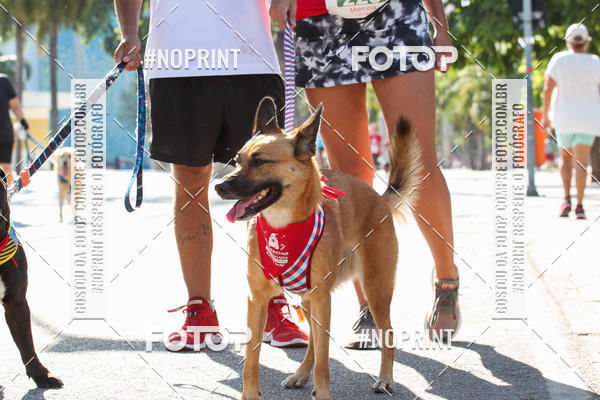 Buy your photos of the event4� Corrida e C�ominhada Abrigo Jo�o Rosa - Etapa Feliz NatAU on Fotop