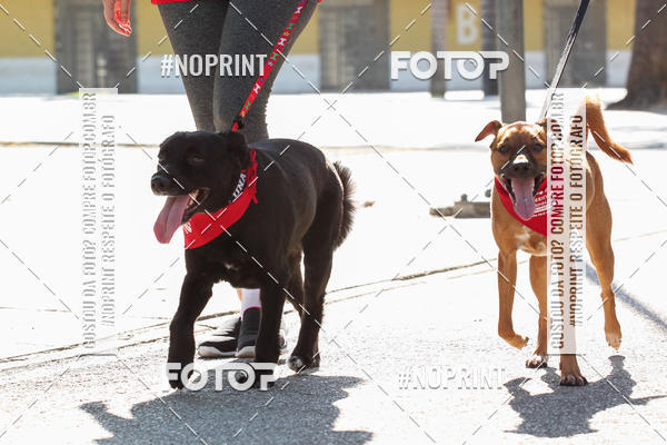 Buy your photos of the event4� Corrida e C�ominhada Abrigo Jo�o Rosa - Etapa Feliz NatAU on Fotop