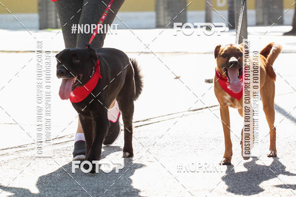 Buy your photos of the event4� Corrida e C�ominhada Abrigo Jo�o Rosa - Etapa Feliz NatAU on Fotop