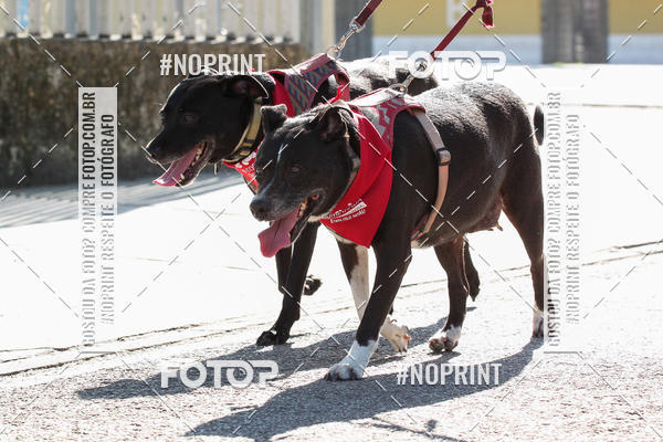 Buy your photos of the event4� Corrida e C�ominhada Abrigo Jo�o Rosa - Etapa Feliz NatAU on Fotop