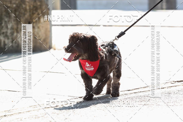 Buy your photos of the event4� Corrida e C�ominhada Abrigo Jo�o Rosa - Etapa Feliz NatAU on Fotop