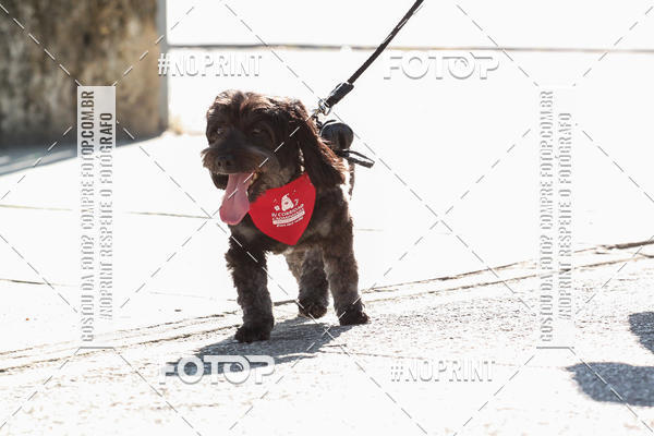 Buy your photos of the event4� Corrida e C�ominhada Abrigo Jo�o Rosa - Etapa Feliz NatAU on Fotop