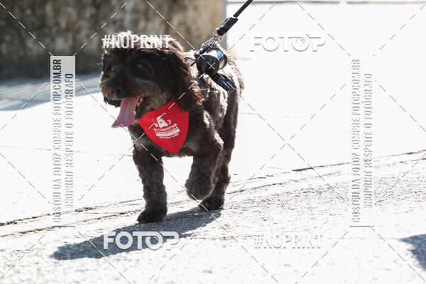 Buy your photos of the event4� Corrida e C�ominhada Abrigo Jo�o Rosa - Etapa Feliz NatAU on Fotop