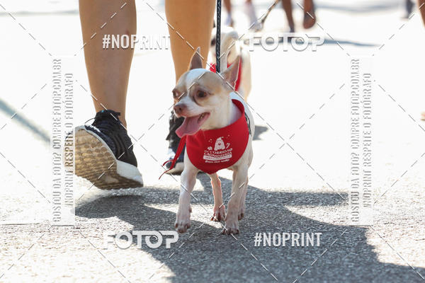 Buy your photos of the event4� Corrida e C�ominhada Abrigo Jo�o Rosa - Etapa Feliz NatAU on Fotop