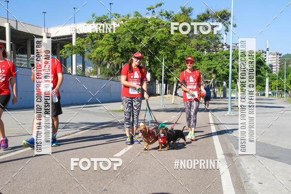 Buy your photos of the event4� Corrida e C�ominhada Abrigo Jo�o Rosa - Etapa Feliz NatAU on Fotop