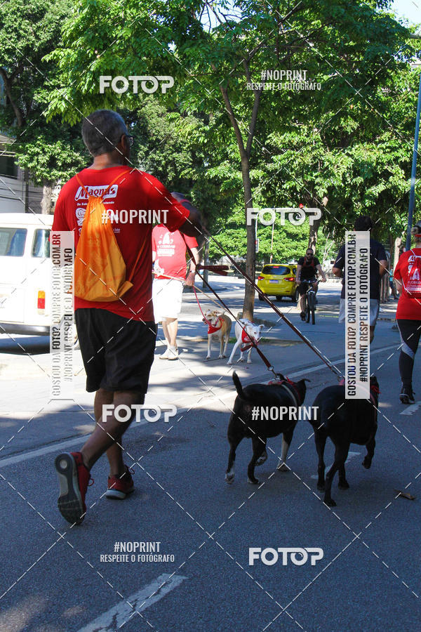 Buy your photos of the event4� Corrida e C�ominhada Abrigo Jo�o Rosa - Etapa Feliz NatAU on Fotop