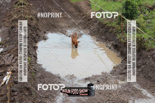 Buy your photos of the eventklandestino off road on Fotop
