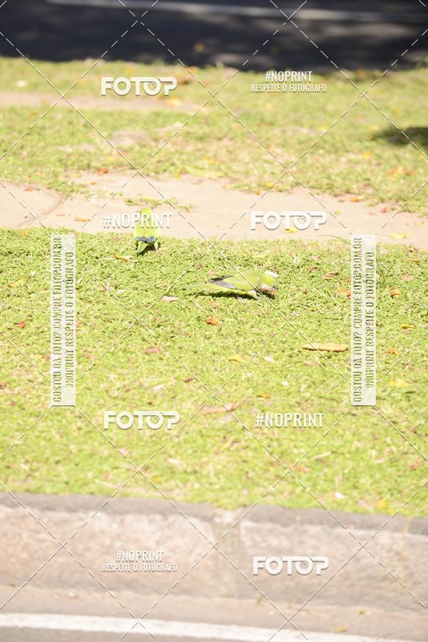 Buy your photos of the event30A CORRIDA DOS ENGENHEIROS E ARQUITETOS on Fotop