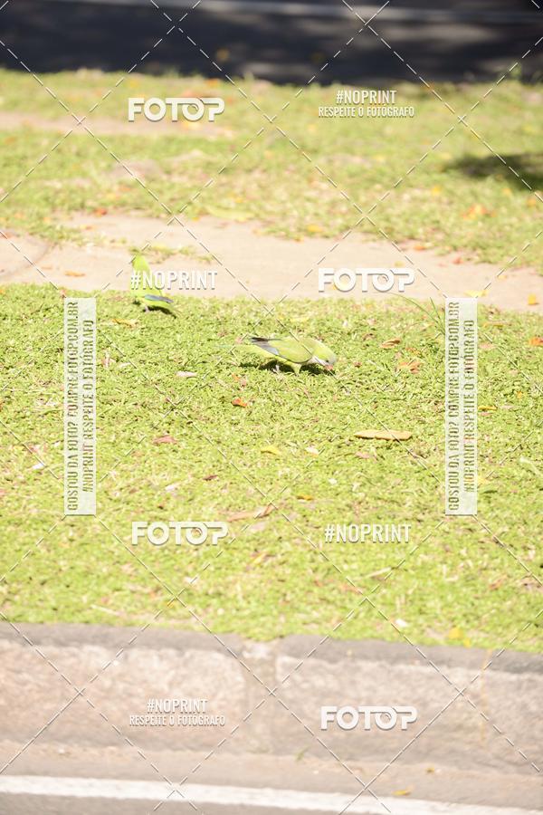 Buy your photos of the event30A CORRIDA DOS ENGENHEIROS E ARQUITETOS on Fotop