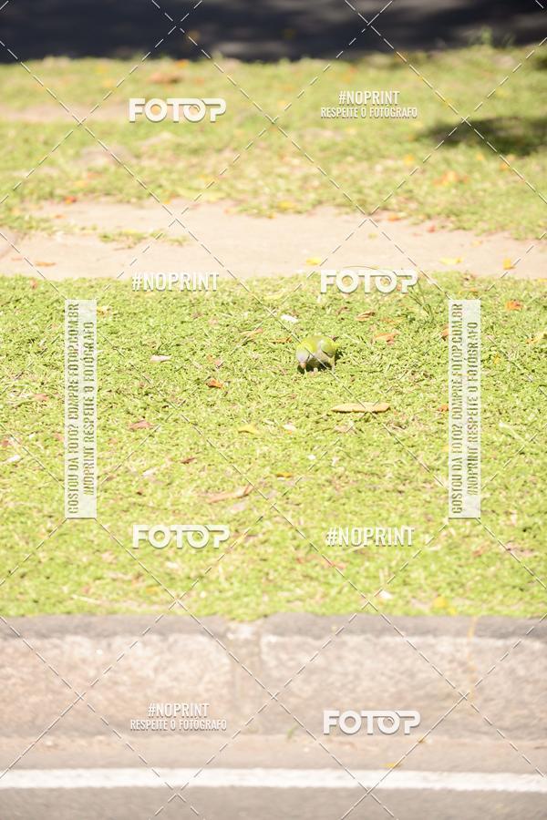 Buy your photos of the event30A CORRIDA DOS ENGENHEIROS E ARQUITETOS on Fotop