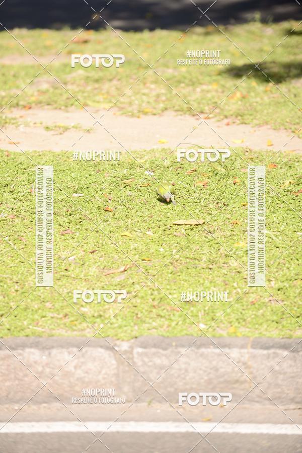 Buy your photos of the event30A CORRIDA DOS ENGENHEIROS E ARQUITETOS on Fotop