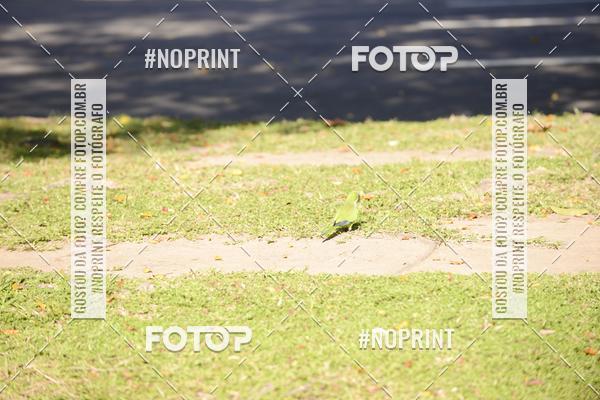 Buy your photos of the event30A CORRIDA DOS ENGENHEIROS E ARQUITETOS on Fotop