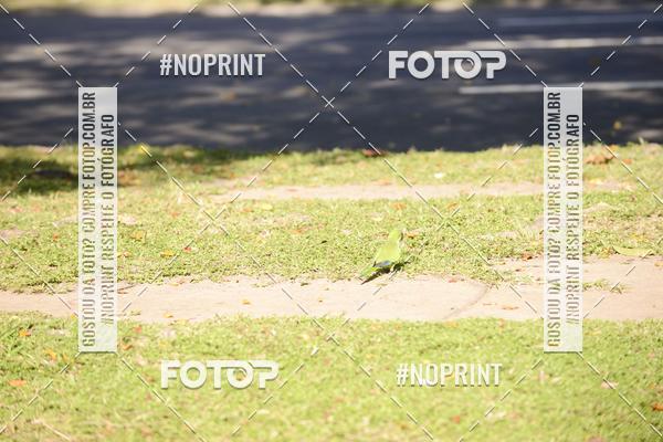 Buy your photos of the event30A CORRIDA DOS ENGENHEIROS E ARQUITETOS on Fotop