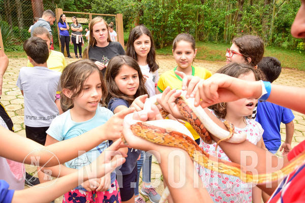 Buy your photos of the eventNR1 �la 6� Ano 09 a 11/11/18 on Fotop