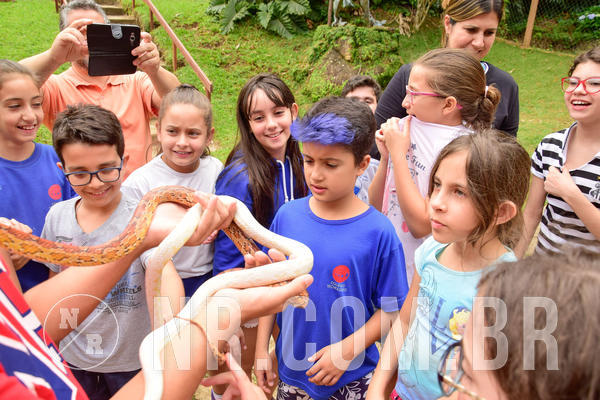 Buy your photos of the eventNR1 �la 6� Ano 09 a 11/11/18 on Fotop