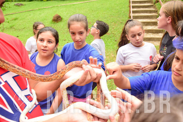 Buy your photos of the eventNR1 �la 6� Ano 09 a 11/11/18 on Fotop