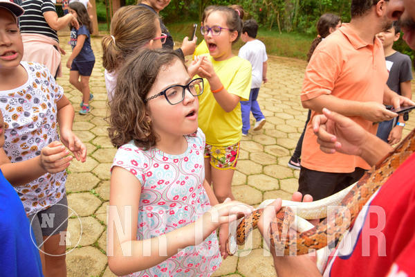 Buy your photos of the eventNR1 �la 6� Ano 09 a 11/11/18 on Fotop