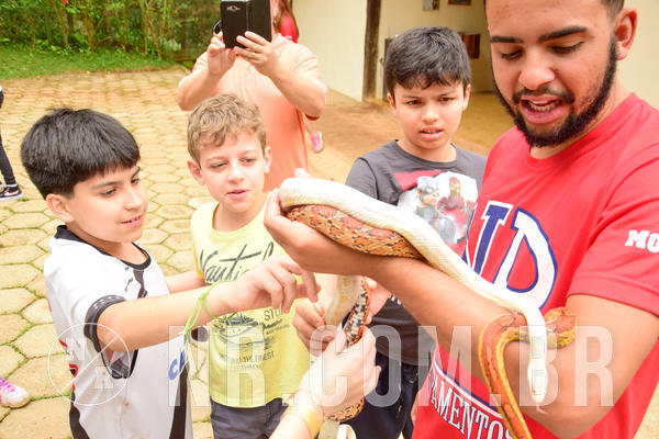 Buy your photos of the eventNR1 �la 6� Ano 09 a 11/11/18 on Fotop