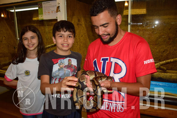 Buy your photos of the eventNR1 �la 6� Ano 09 a 11/11/18 on Fotop