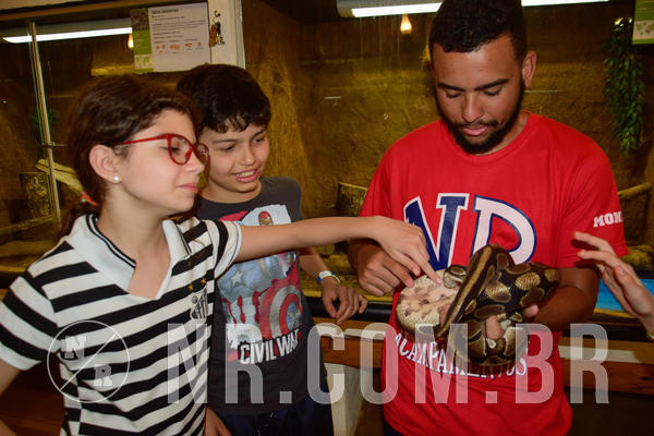 Buy your photos of the eventNR1 �la 6� Ano 09 a 11/11/18 on Fotop