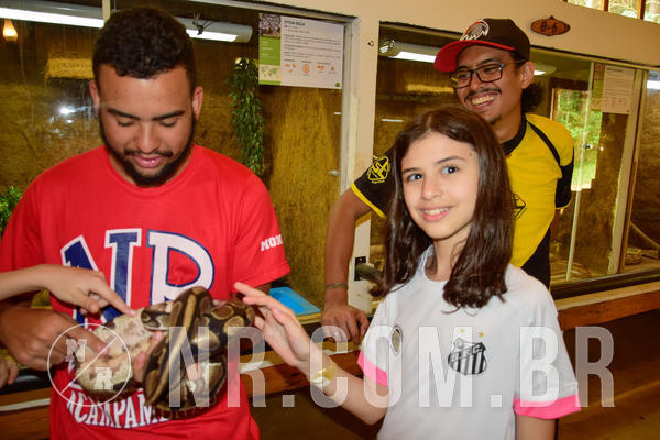 Buy your photos of the eventNR1 �la 6� Ano 09 a 11/11/18 on Fotop