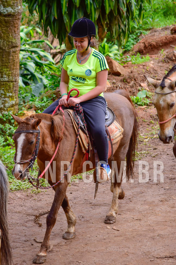 Buy your photos of the eventNR1 �la 6� Ano 09 a 11/11/18 on Fotop