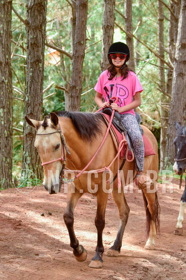 Buy your photos of the eventNR1 �la 6� Ano 09 a 11/11/18 on Fotop