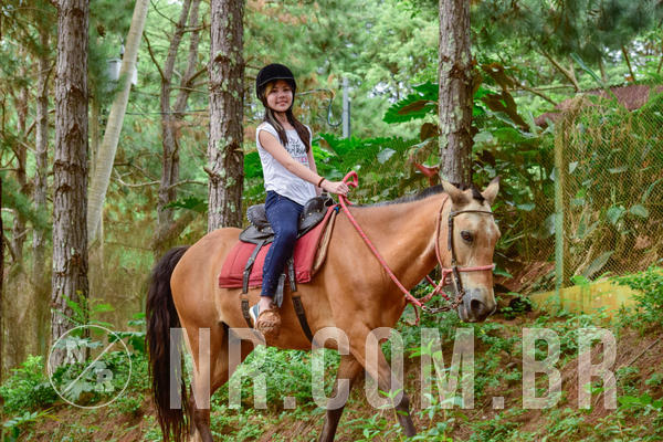 Buy your photos of the eventNR1 �la 6� Ano 09 a 11/11/18 on Fotop