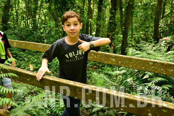 Buy your photos of the eventNR1 �la 6� Ano 09 a 11/11/18 on Fotop