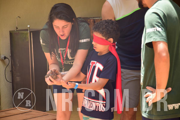 Buy your photos of the eventNR1 �la 6� Ano 09 a 11/11/18 on Fotop