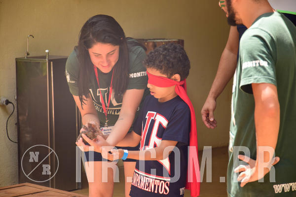 Buy your photos of the eventNR1 �la 6� Ano 09 a 11/11/18 on Fotop