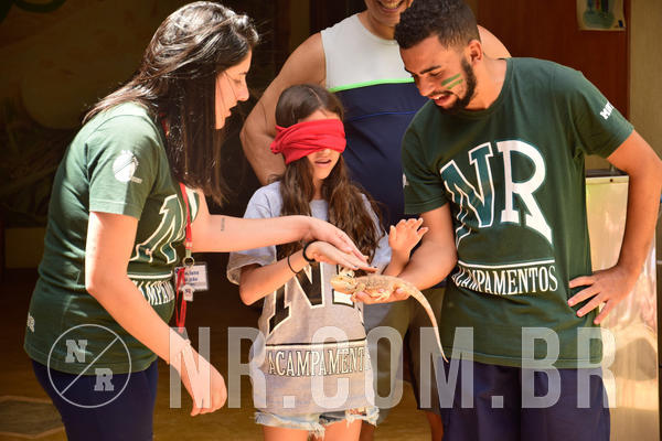 Buy your photos of the eventNR1 �la 6� Ano 09 a 11/11/18 on Fotop