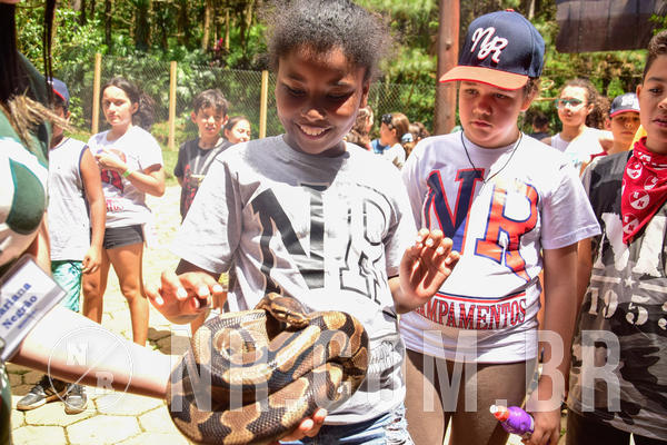 Buy your photos of the eventNR1 �la 6� Ano 09 a 11/11/18 on Fotop