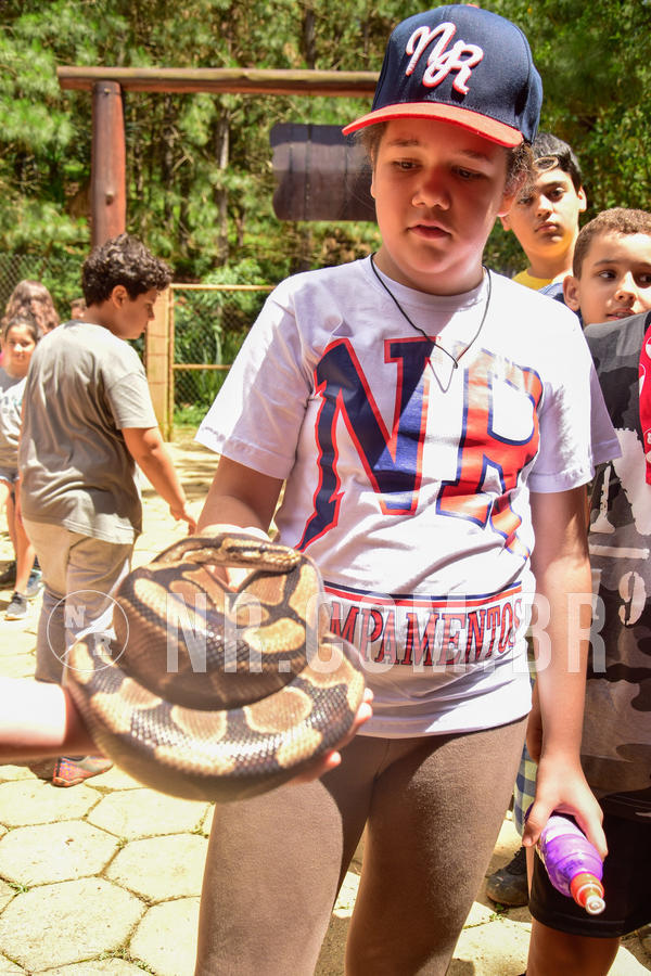 Buy your photos of the eventNR1 �la 6� Ano 09 a 11/11/18 on Fotop