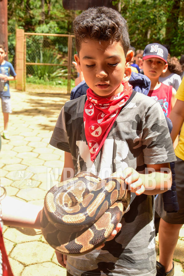 Buy your photos of the eventNR1 �la 6� Ano 09 a 11/11/18 on Fotop