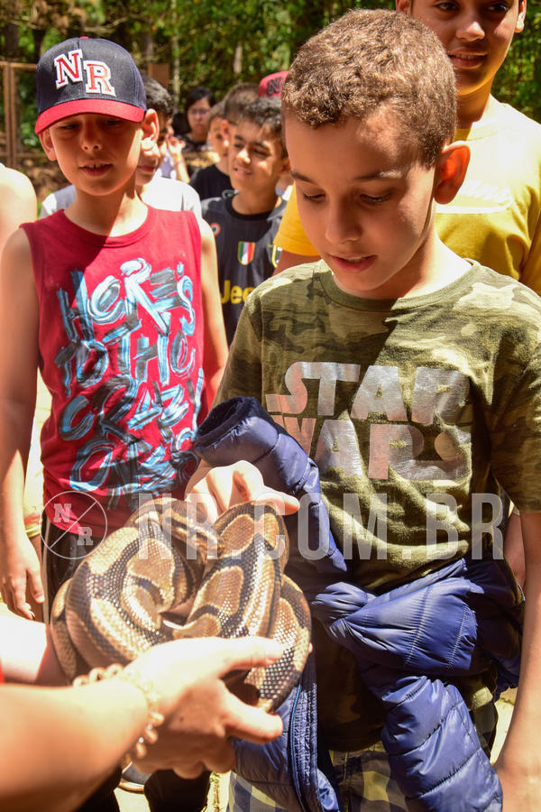 Buy your photos of the eventNR1 �la 6� Ano 09 a 11/11/18 on Fotop