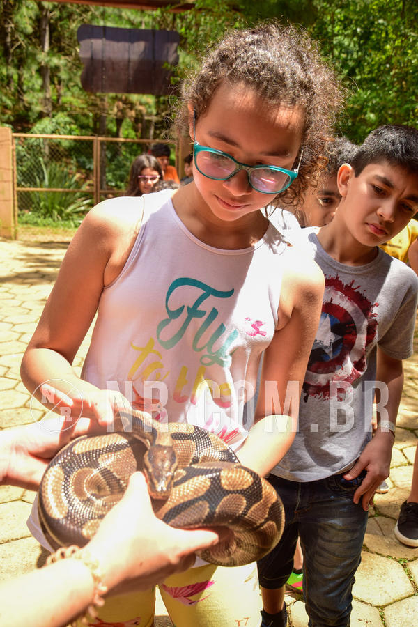 Buy your photos of the eventNR1 �la 6� Ano 09 a 11/11/18 on Fotop