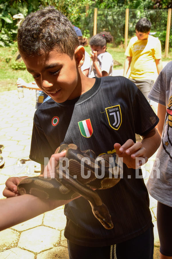 Buy your photos of the eventNR1 �la 6� Ano 09 a 11/11/18 on Fotop