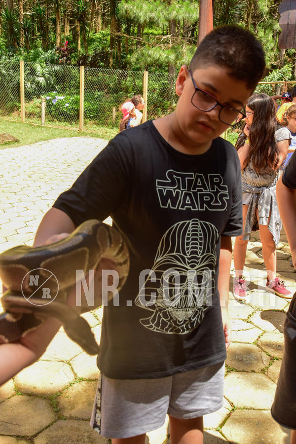 Buy your photos of the eventNR1 �la 6� Ano 09 a 11/11/18 on Fotop