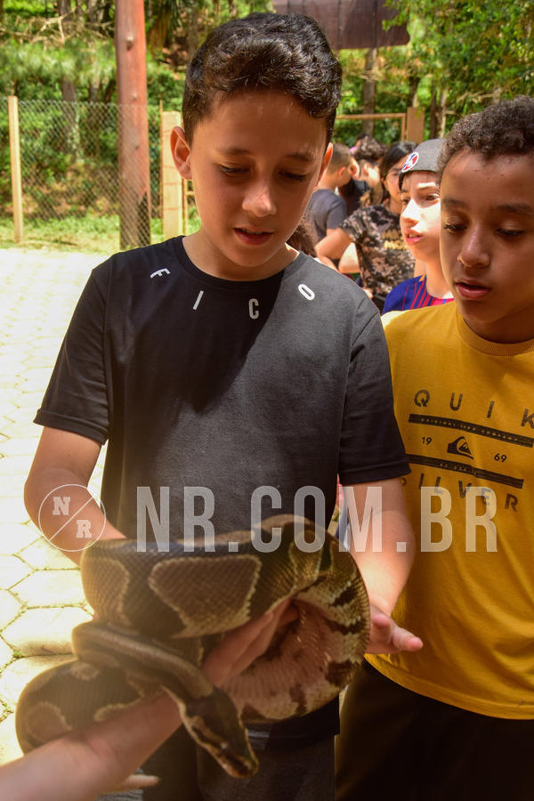 Buy your photos of the eventNR1 �la 6� Ano 09 a 11/11/18 on Fotop