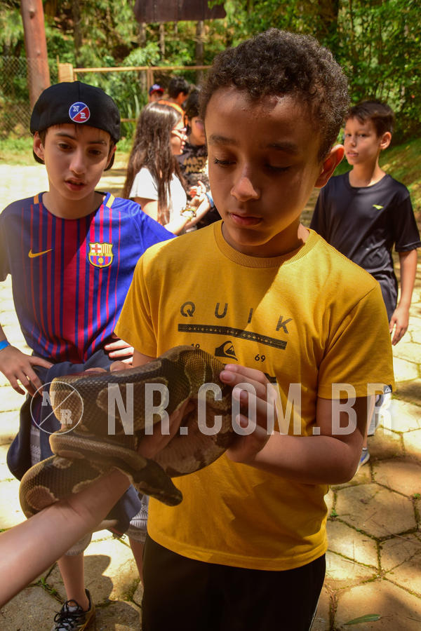 Buy your photos of the eventNR1 �la 6� Ano 09 a 11/11/18 on Fotop