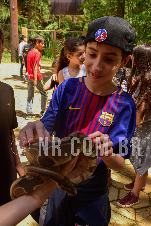 Buy your photos of the eventNR1 �la 6� Ano 09 a 11/11/18 on Fotop