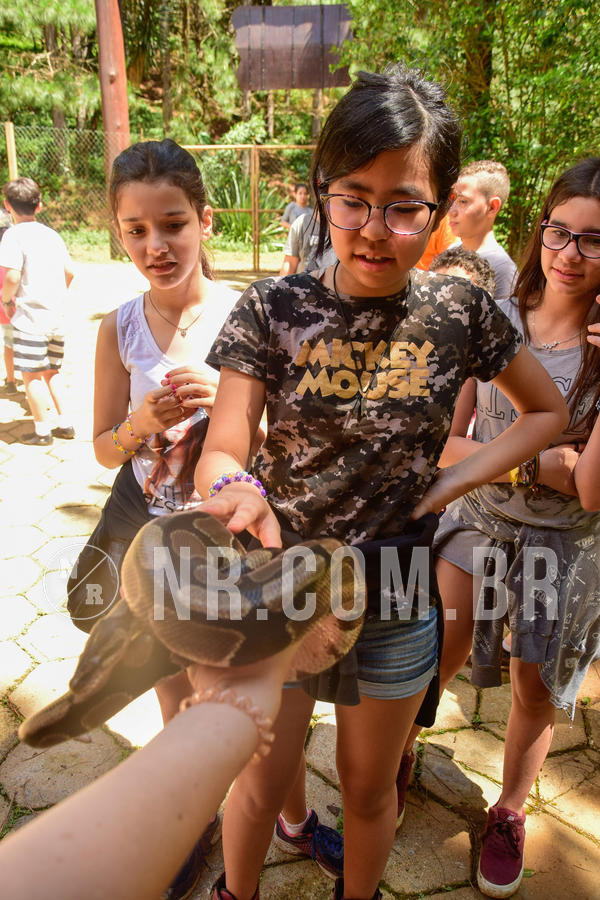 Buy your photos of the eventNR1 �la 6� Ano 09 a 11/11/18 on Fotop