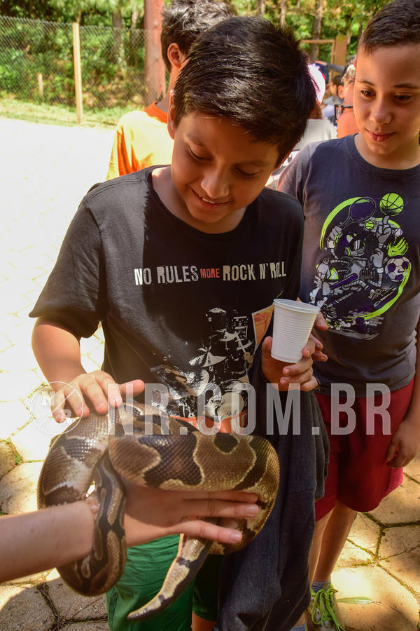 Buy your photos of the eventNR1 �la 6� Ano 09 a 11/11/18 on Fotop