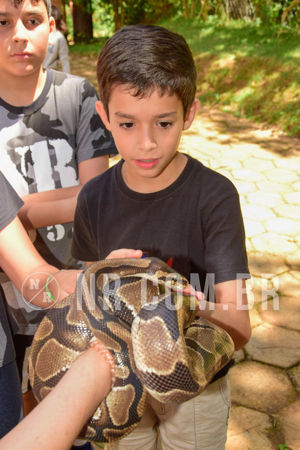 Buy your photos of the eventNR1 �la 6� Ano 09 a 11/11/18 on Fotop