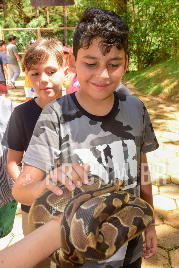 Buy your photos of the eventNR1 �la 6� Ano 09 a 11/11/18 on Fotop