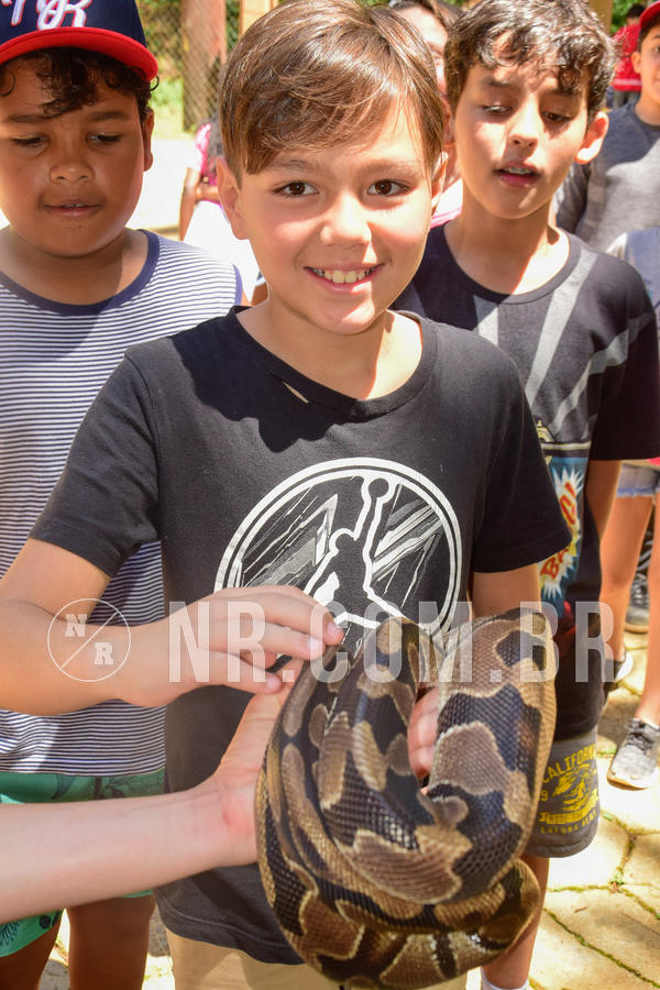 Buy your photos of the eventNR1 �la 6� Ano 09 a 11/11/18 on Fotop